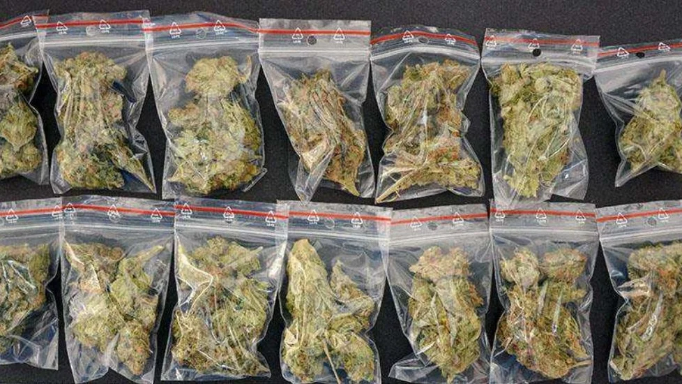 Cannabis hittades också i närheten av Nyköpingsmannens flyktväg. 