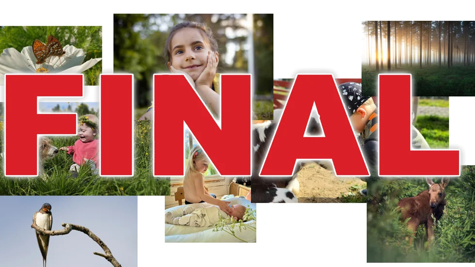 8 finalbidrag är utsedda av Norrans Jury.