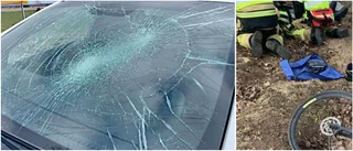 Kvinna skyller på cyklister – döms för trafikolycka i Motala