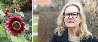 Hildegun om flytten till ön och nya uppdraget: ”Allt klaffade”