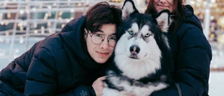 Hunden Akiras smarriga julupptäckt ledde till dålig mage