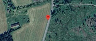 Träd över vägen skapar problem i trafiken på väg 569