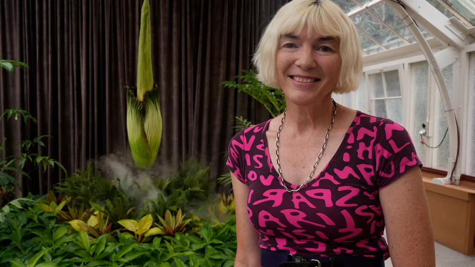 Sophie Daniel, talesperson för Royal Botanical Gardens i australiska Sydney, poserar framför den omtalade jätteknölkallan.