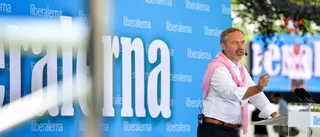 Nato-medlemskap bör utredas snarast