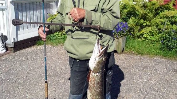 Vinnare i gäddklassen. Fiskeveteranen Stig Gräsvik, 79, i Keräntöjärvi, har fångat massor med gäddor i sitt liv, men den största fick han i sista etappen i årets Fiske-DM. Den vägde 16 kilo och gav honom segern i gäddklassen.
