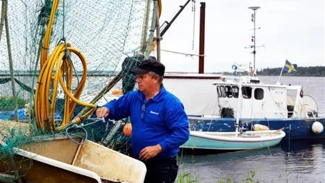 SÄLSÄKER. Den nya Push up-fällan är stadigare och tål mer från sälen. Men ändå blir det många skador. Och största problemet är att sälarna äter fisken som precis simmar in, menar Innala.