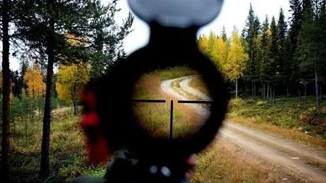Varannan älgkalv överlevde inte sommaren. Orsakerna kan enligt Jägareförbundet vara flera.