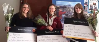 Fjärde årgången för InUngIn