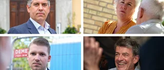 Ska den här kvartetten samverka i Linköping? Partierna håller pressträff i dag