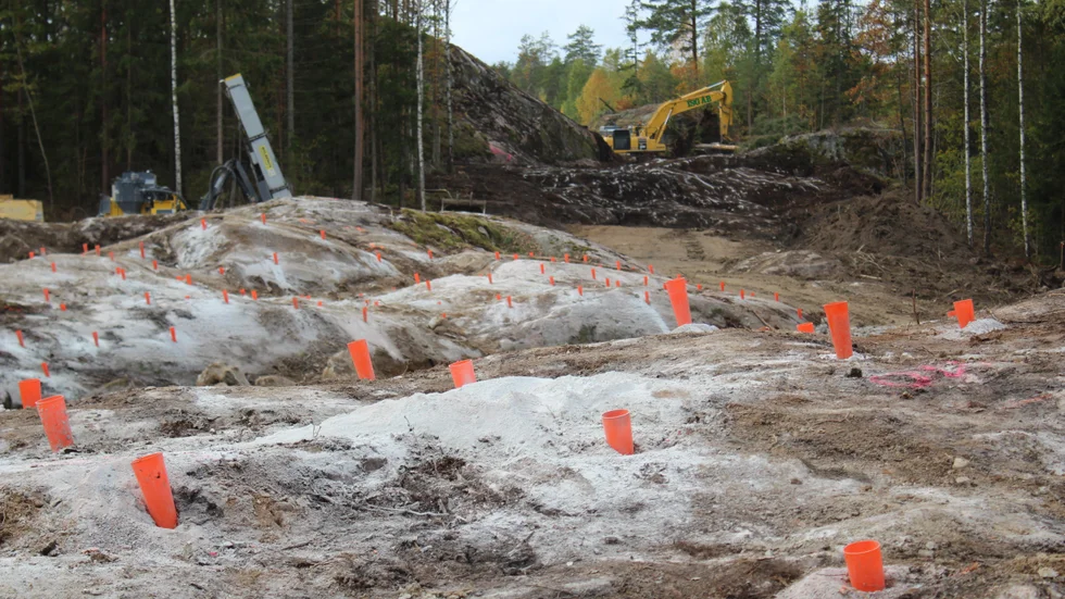 Här ska vägen fram genom skogen. 5,5 kilometer lång med 4,5 meter bred körbana plus gott om plats vid sidorna.