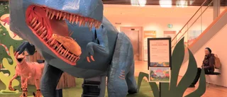 Stadsbiblioteket invaderat av dinosaurier