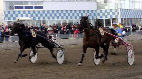 Krister Söderholm satte två skrällar på Peabtravet och det bäddade för nästan 170 000 kronor i utdelning för sex rätt på V65. (Arkivbild)