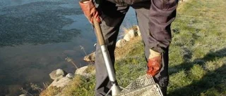 Fiskodlare konkurs- hotad efter vandalism