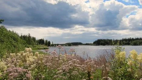 Norra Jävrebodarna, en sommareftermiddag.