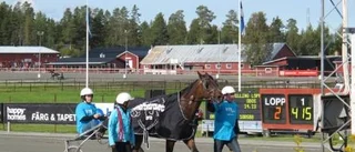 Kollektiv krasch efter Gepards succéstart