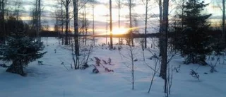 Dagens väderbild