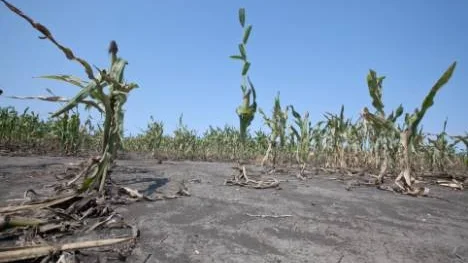 Om medeltemperaturen höjs med fyra grader kommer extrem torka, likt denna som drabbade Nebraska i somras, att bli vardagsmat på många håll i vår värld.