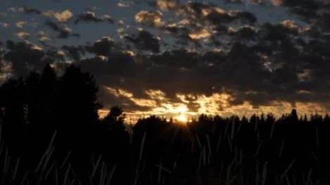 Solnedgång över ängarna.