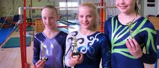 Älvsbygymnasterna tog storslam i DM