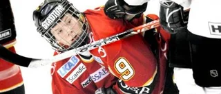 Utvisningar fällde J 20