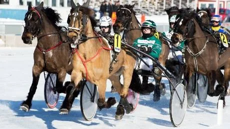 ÖVERRASKNING. Sandra Eriksson och Min Borka vann V4-1 och såg till att få fart på utdelningen direkt under lunchtravet i Boden.
