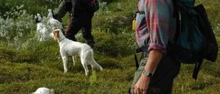 Skralt med ripor i Dundretområdet