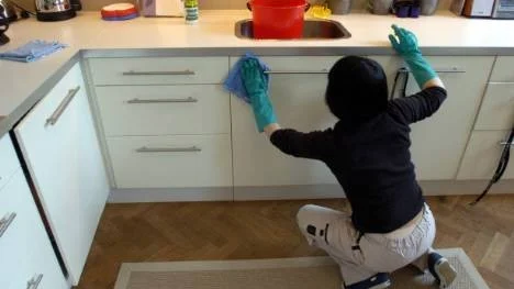 Det är bara vinnare på reformen - hushållsnära tjänster, de som får jobb, de som får städat och samhället som får in skatt i stället för att vara tvungen betala bidrag, skriver Sera Olofsson.