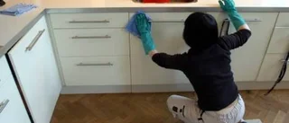 Hushållsnära tjänster - en bra reform