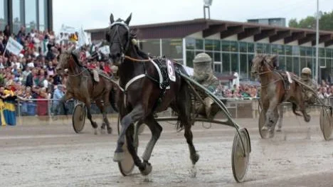Lie Detector och Örjan Kihlström  vinner Sto- Championatet på Axevalla. Längst ut i vänster i bild spurtar Piteåägda Paper Moon strålande till tredjeplatsen.