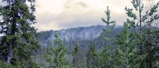 Svårsläckt skogsbrand utanför Vidsel