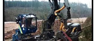 Bara träden fälls vid brott mot SVL