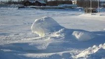 Snölejon vaktande i Södra hamn i Piteå.