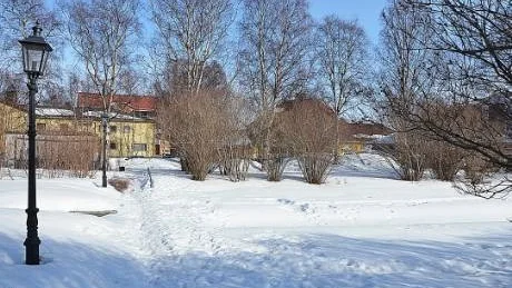 RÄDDNINGSVÄG. En planerad gångväg genom Grodparken kan komma att bli räddningsväg till hyresfastigheten som Kalixbo ska bygga på tomten som skymtar bakom björkarna.