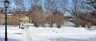 Ja till bygglov intill Grodparken