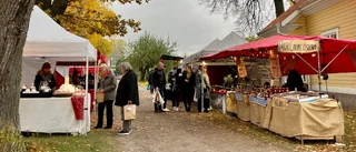 Nu är det jul igen – vi minglade bland stånd och besökare på julmarknaden på Julita Gård: "Färre besökare i år"
