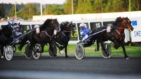 Händelserikt. Erik Adielsson, här bakom hästen Plenkrutt, var inblandad i en olycka vid lunchtravet - sedan vann han med Dicey Spicey i V75-2 under kvällen.Foto: Petra Isaksson