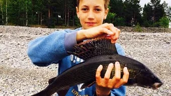 SAKEN ÄR OSKAR. Det var en riktigt grann harr på dryga kilot som Oskar Widén, krokade på en svart fluga vid Hindersö­harun i Luleå skärgård.