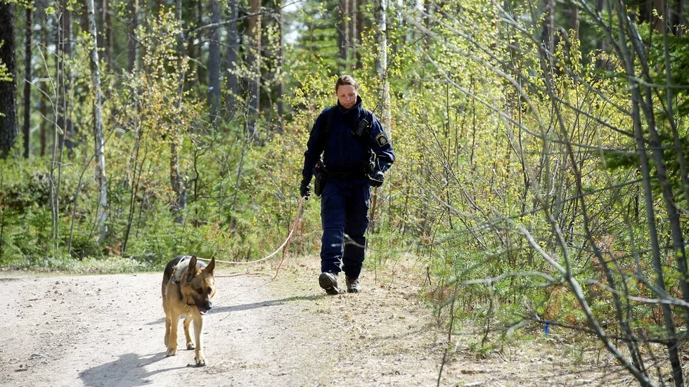 Arkivbild. Bilden har inget med den aktuella händelsen att göra.