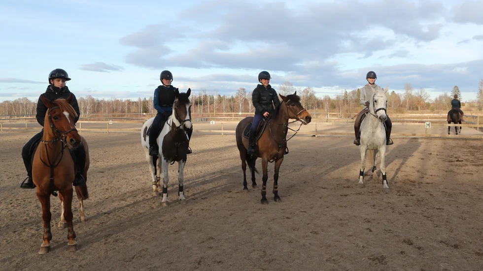 Första träningsgruppen. Från vänster till höger: Fanny Cederlund, Tim Ringkvist, Linn Wall och Thea Gustavsson. 