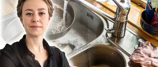 Vad är en ”huskvinna” – egentligen?