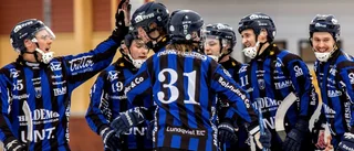 Målvaktstalangen bakom seger