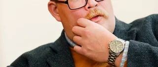 En väntad lösning enligt statsvetaren