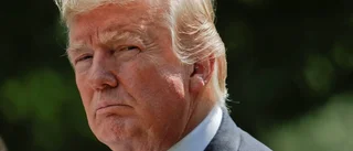 Holger om Trump, poddar och paddor