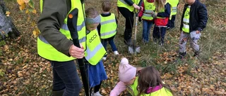 Förskolebarn och Rotary bidrar till blomsteräng