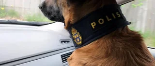 Nero spårade upp bilist på flykt – hittades i vägtrumma