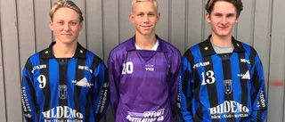 Från Sirius till P17-landslaget
