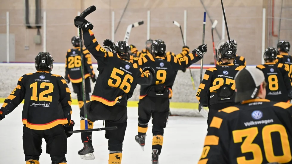 Skellefteå AIK:s U16 har chans att vinna SM-guld i helgen.