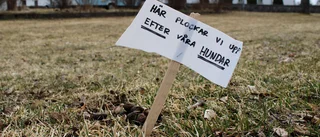 Antalet hundar i kommunen har ökat men inte antalet platser att slänga hundbajset