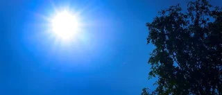 Värmerekord: Varmare än varmast