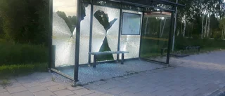 Busskurer vandaliserade